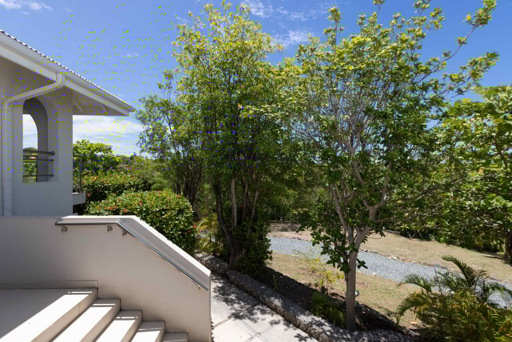 Imagine - Terres Basses