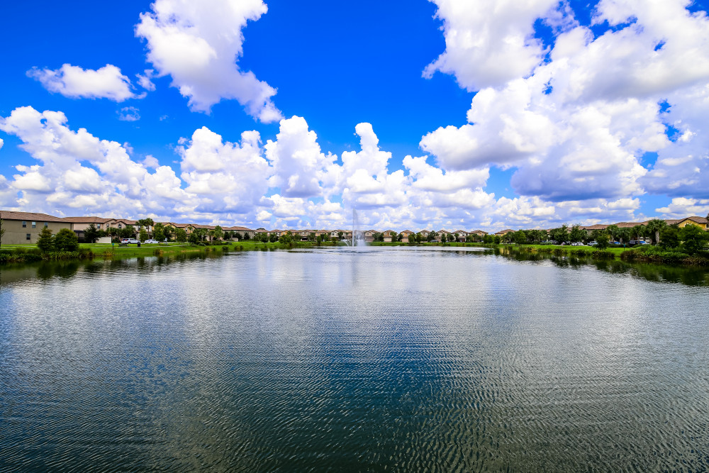 Windsor at Westside 297