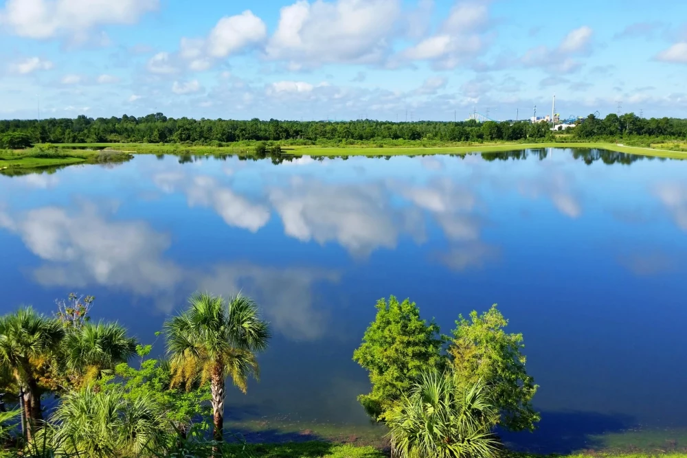 Vista Cay 45