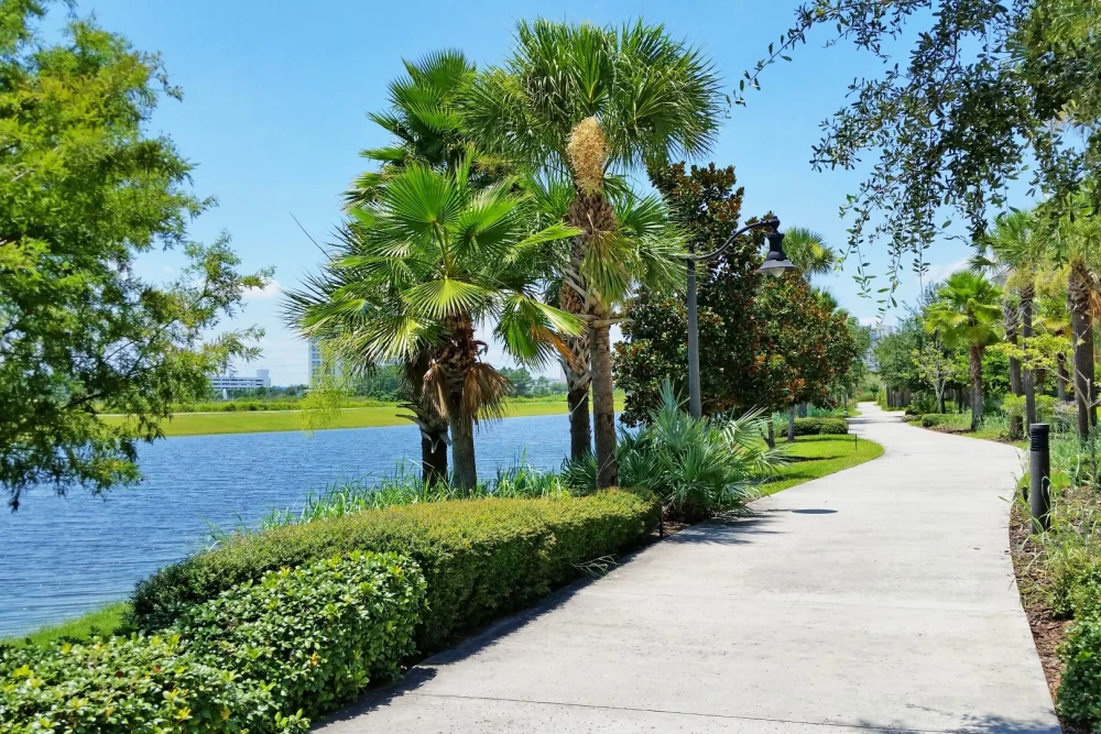 Vista Cay 45