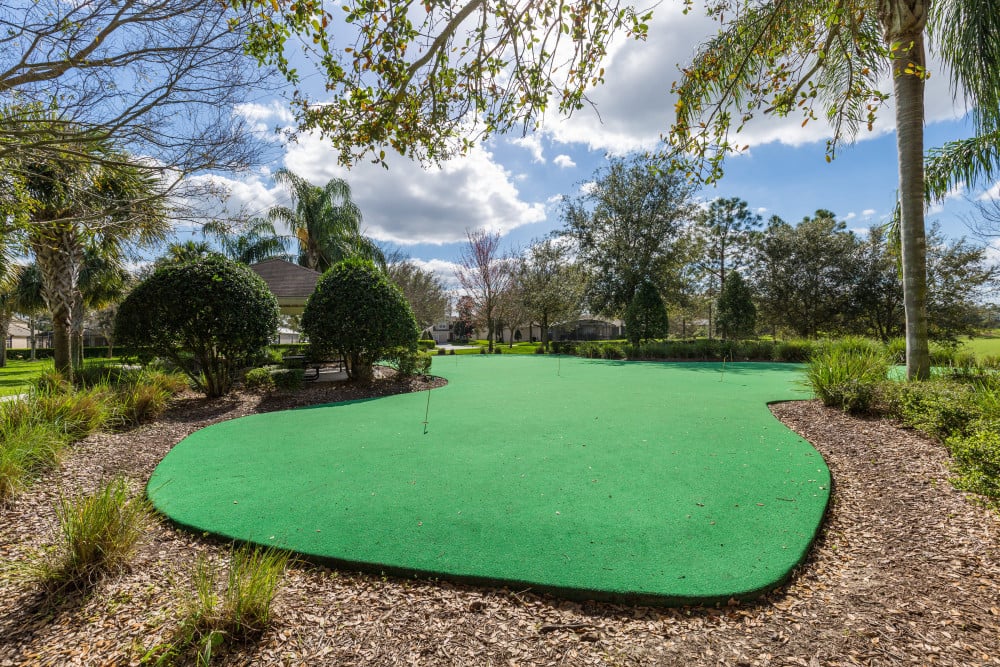 Windsor Hills Resort 480