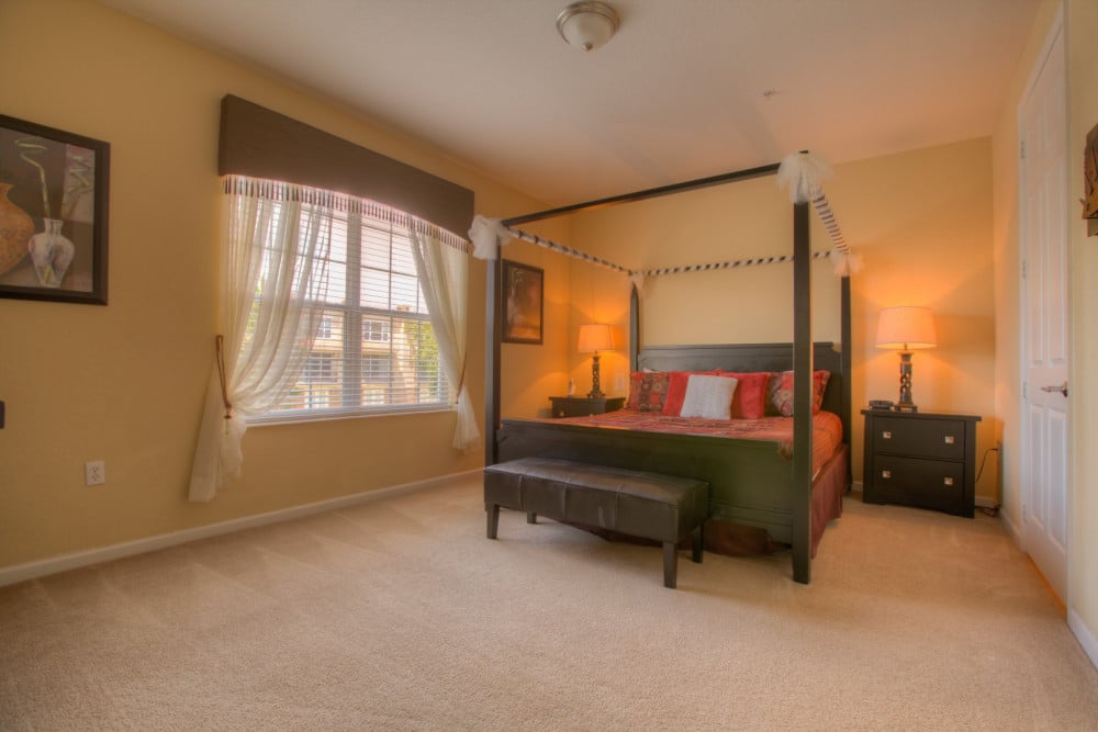 Vista Cay 291