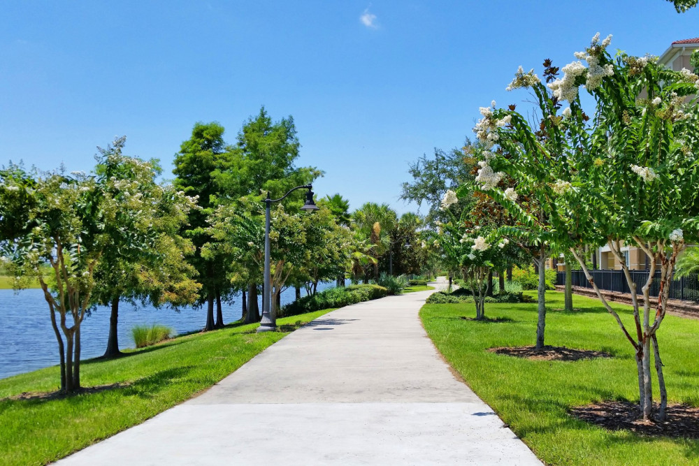 Vista Cay 291