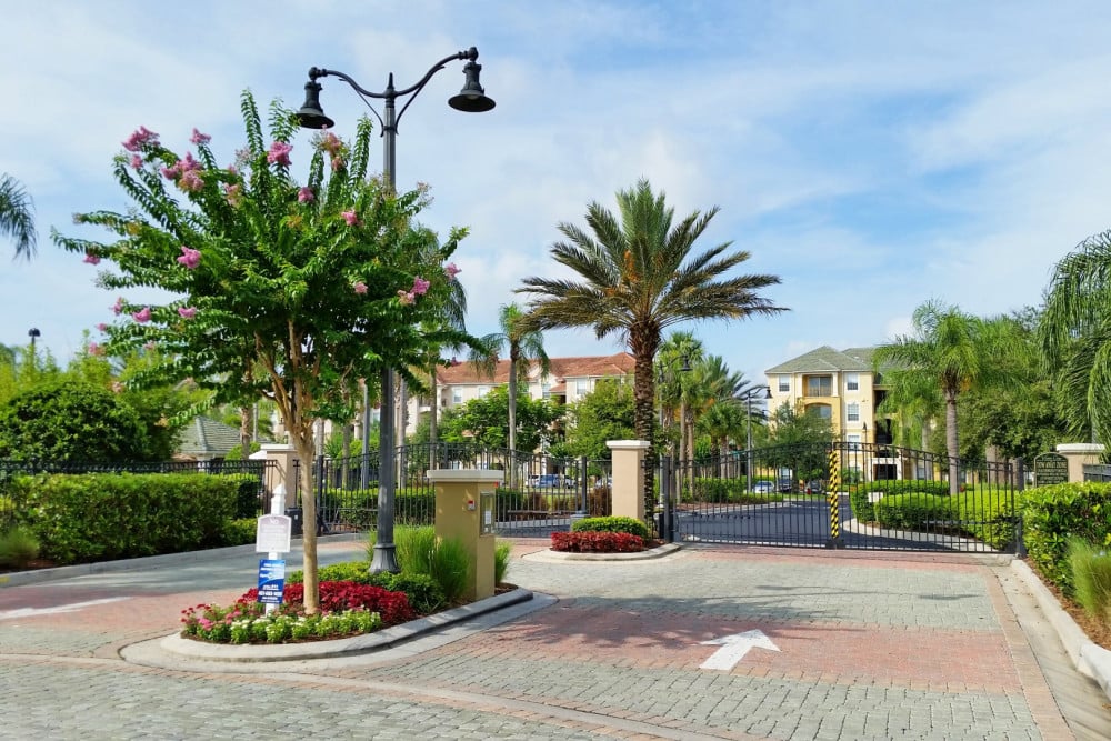 Vista Cay 291