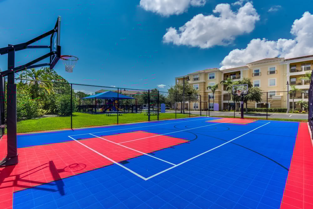 Vista Cay 295