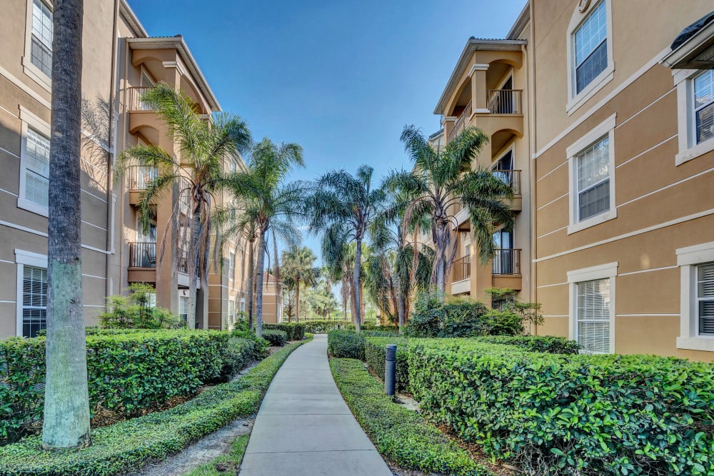 Vista Cay 296