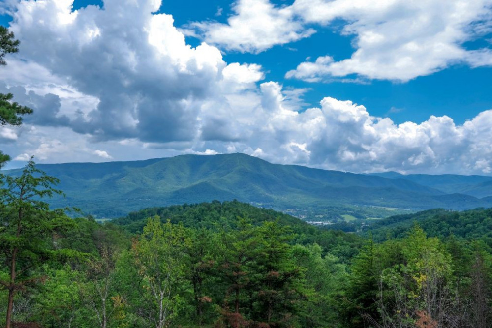 Pigeon Forge 4