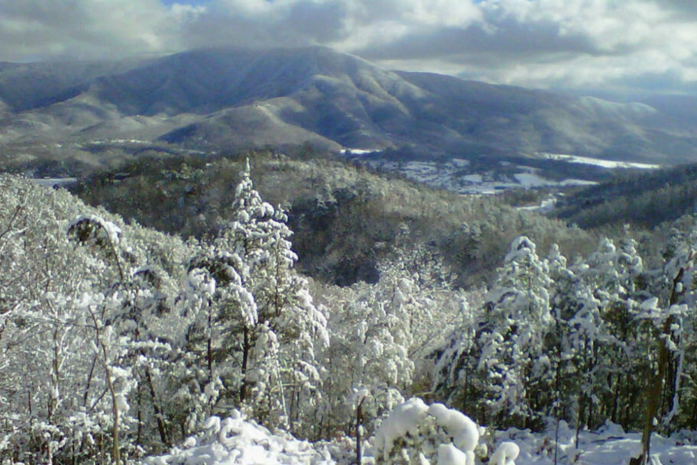 Pigeon Forge 4