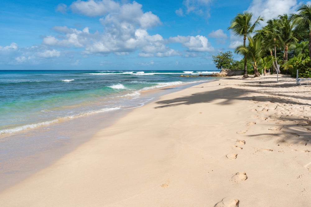 Schooner Bay 113 - Boana