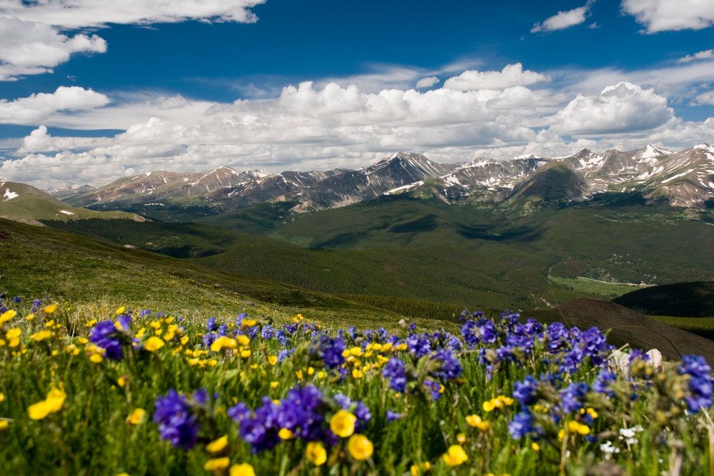 Breckenridge 51