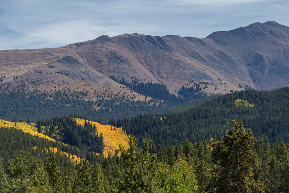 Breckenridge 44