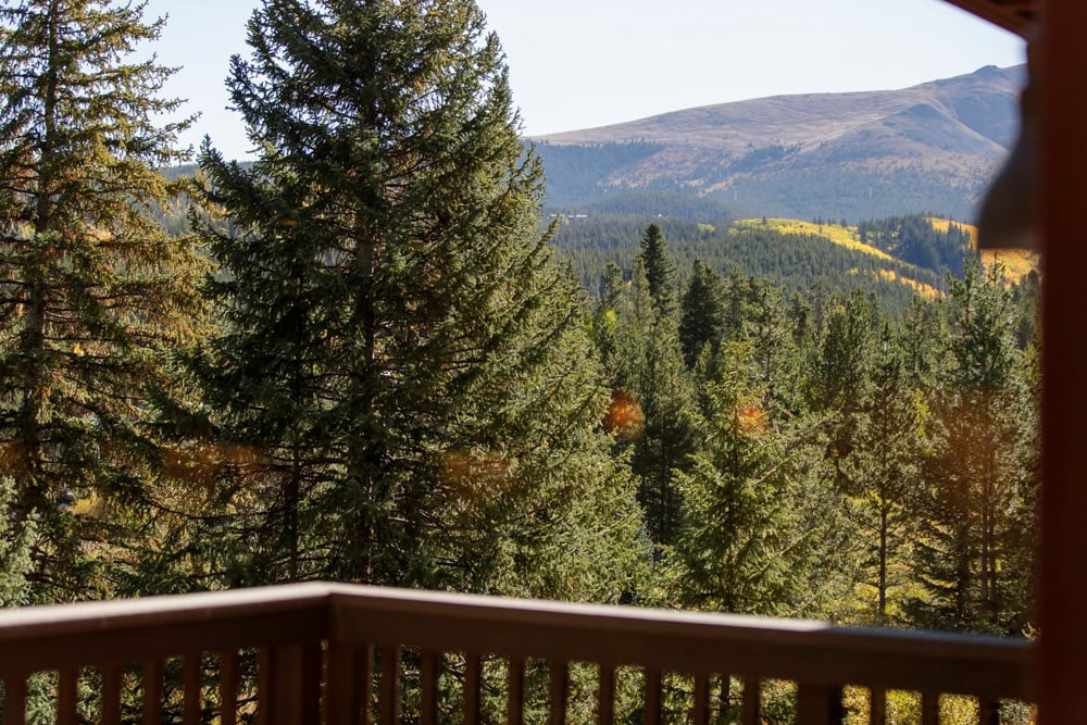 Breckenridge 44