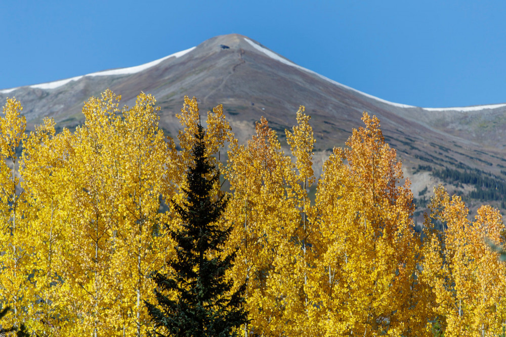 Breckenridge 40
