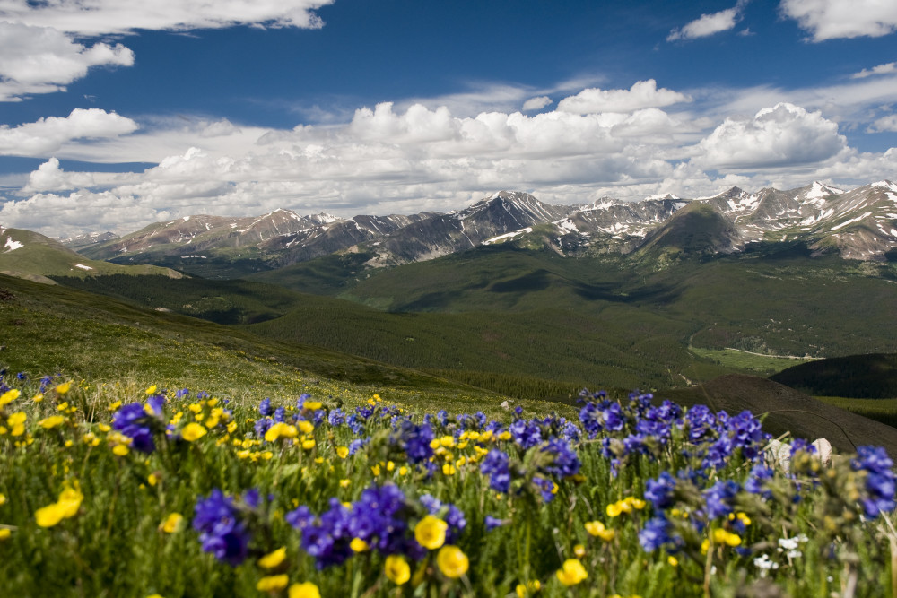 Breckenridge 46