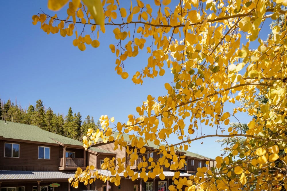 Breckenridge 19