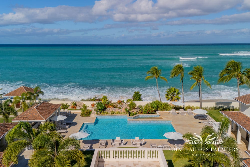 Chateau des Palmiers