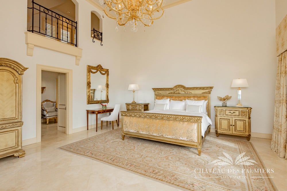 Chateau des Palmiers