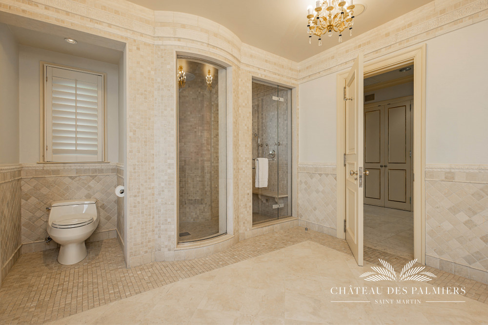 Chateau des Palmiers