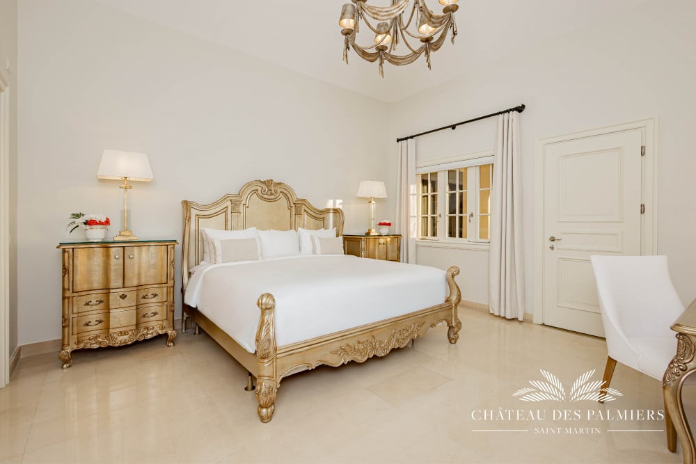 Chateau des Palmiers