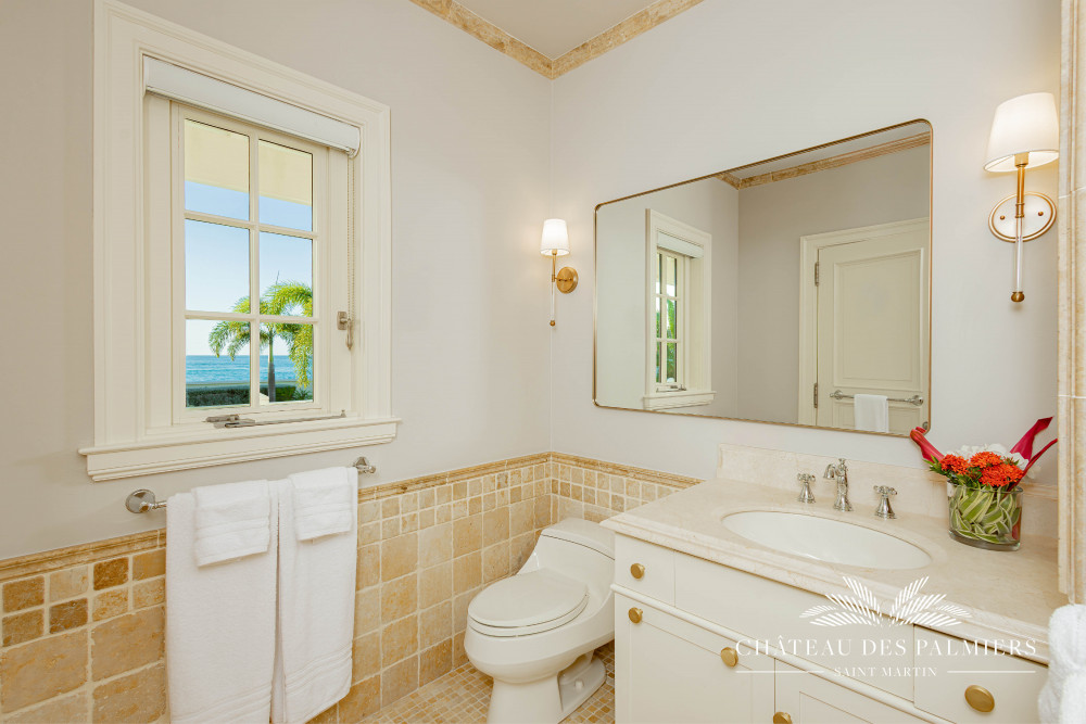 Chateau des Palmiers