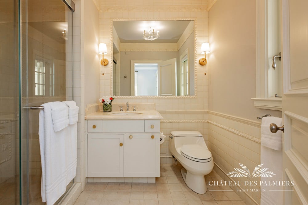 Chateau des Palmiers