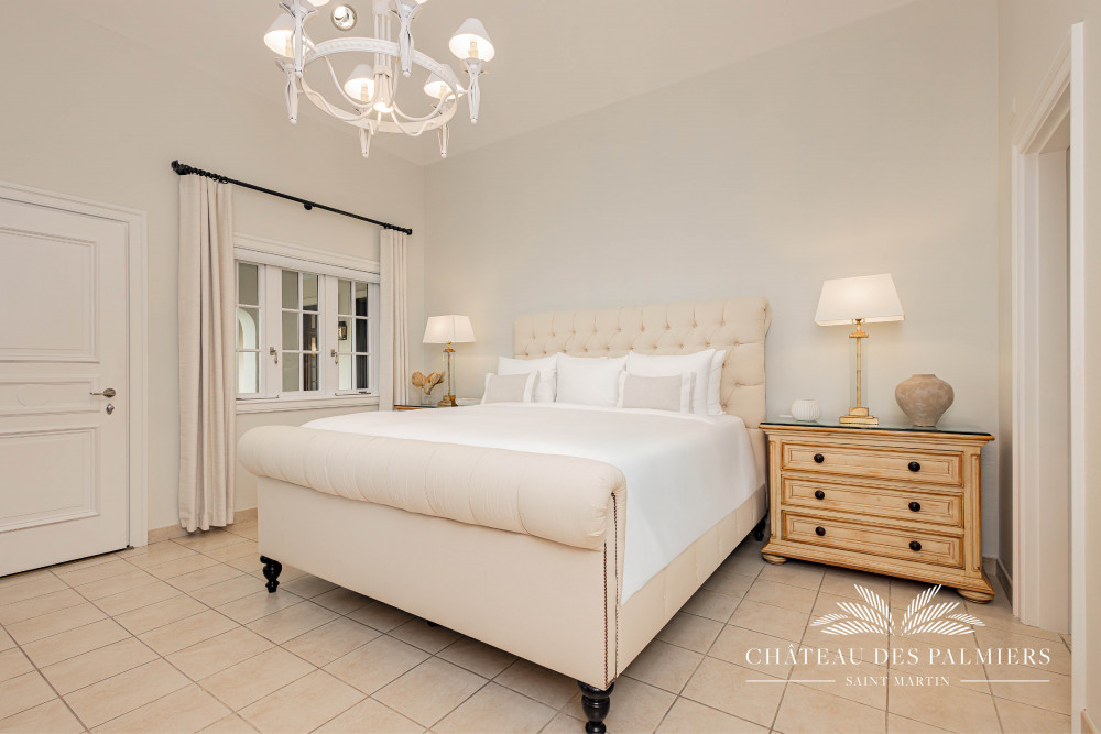 Chateau des Palmiers