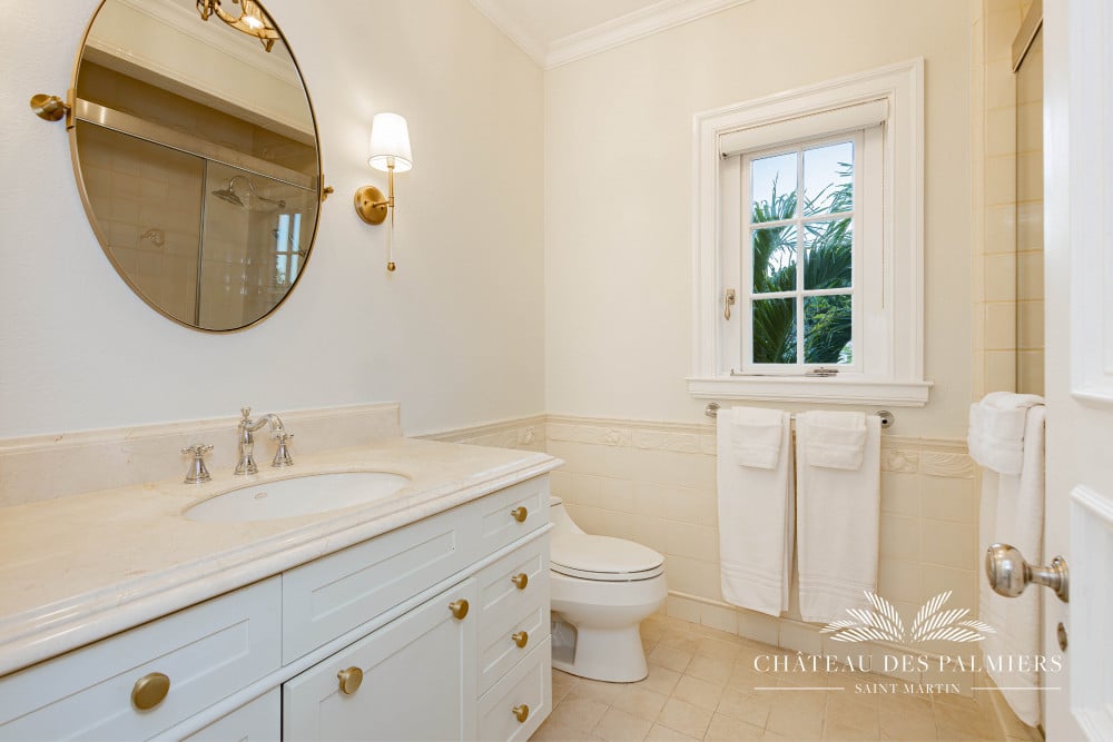 Chateau des Palmiers