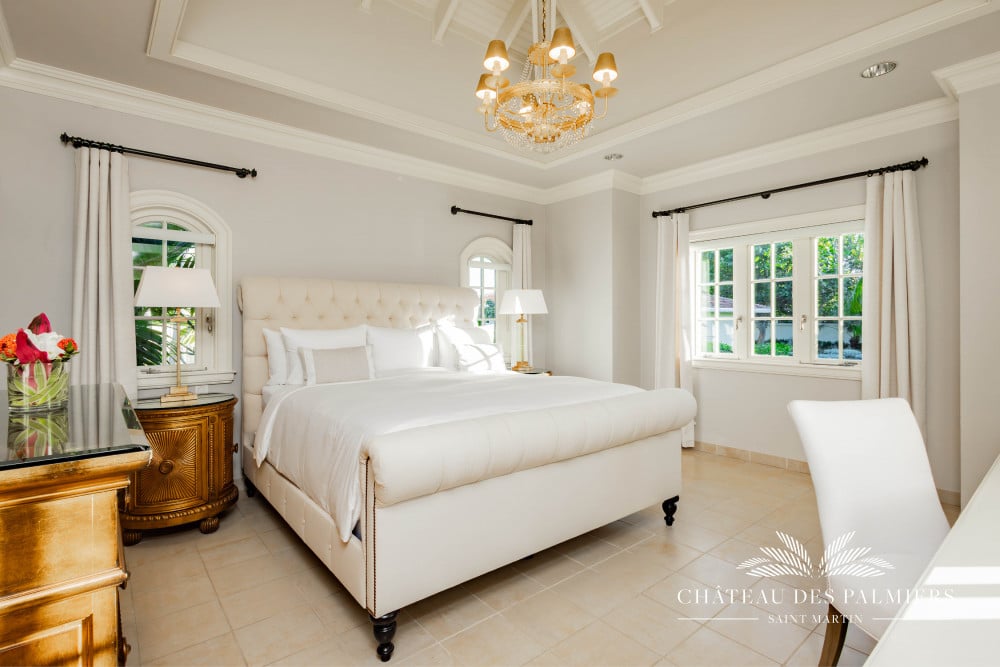 Chateau des Palmiers