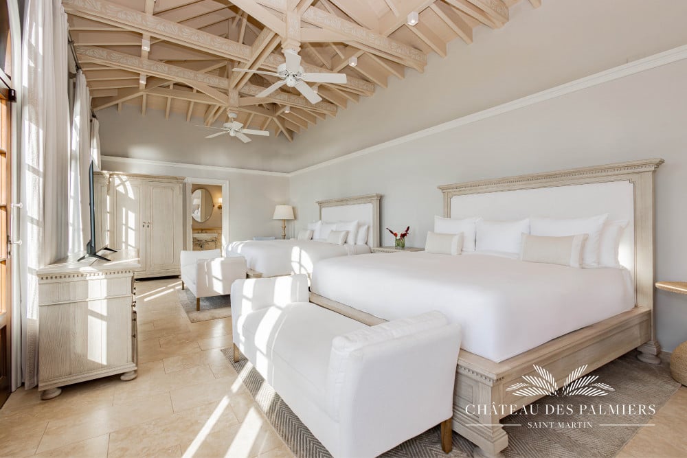 Chateau des Palmiers