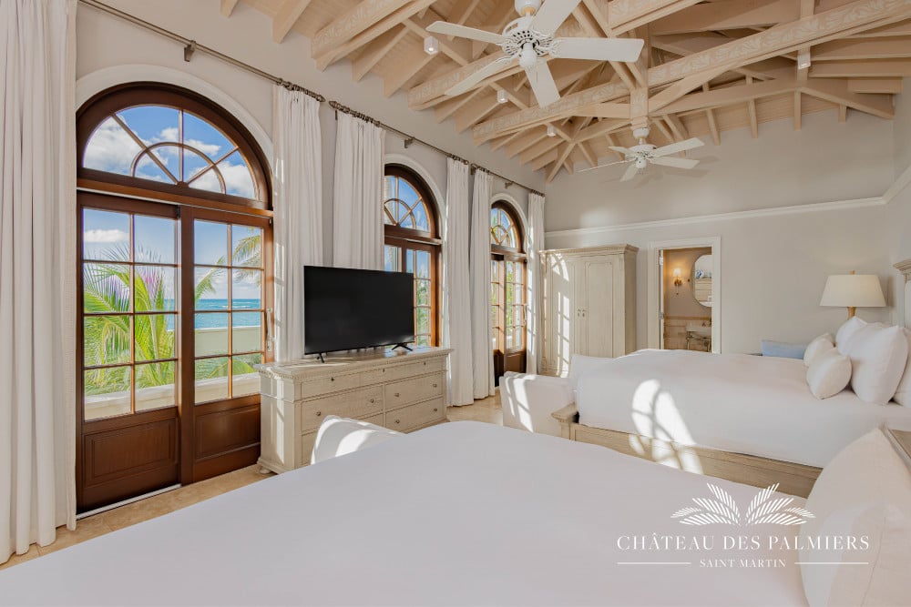 Chateau des Palmiers