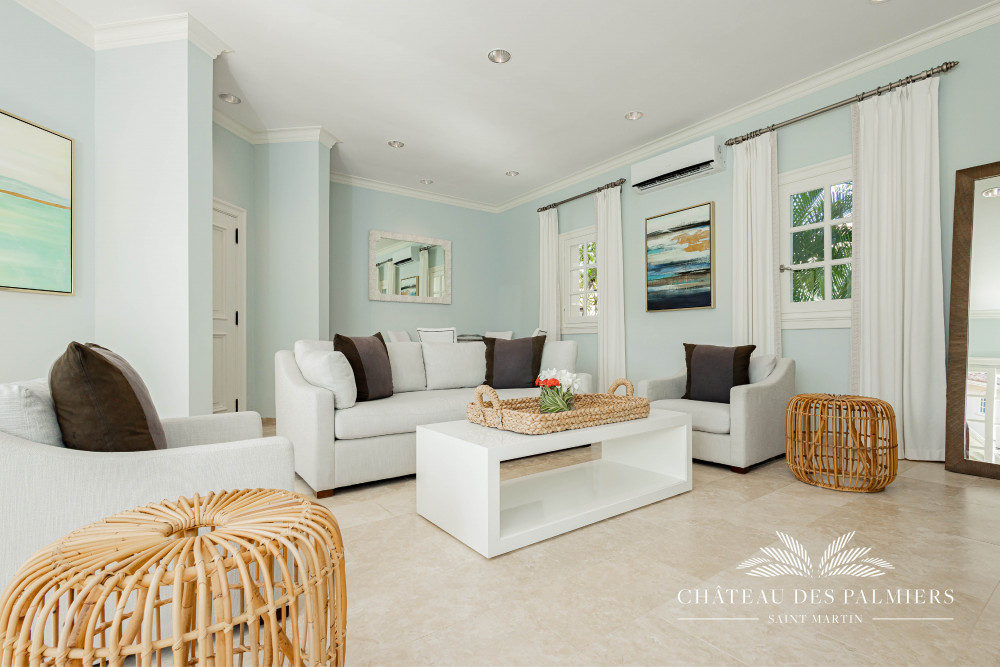 Chateau des Palmiers