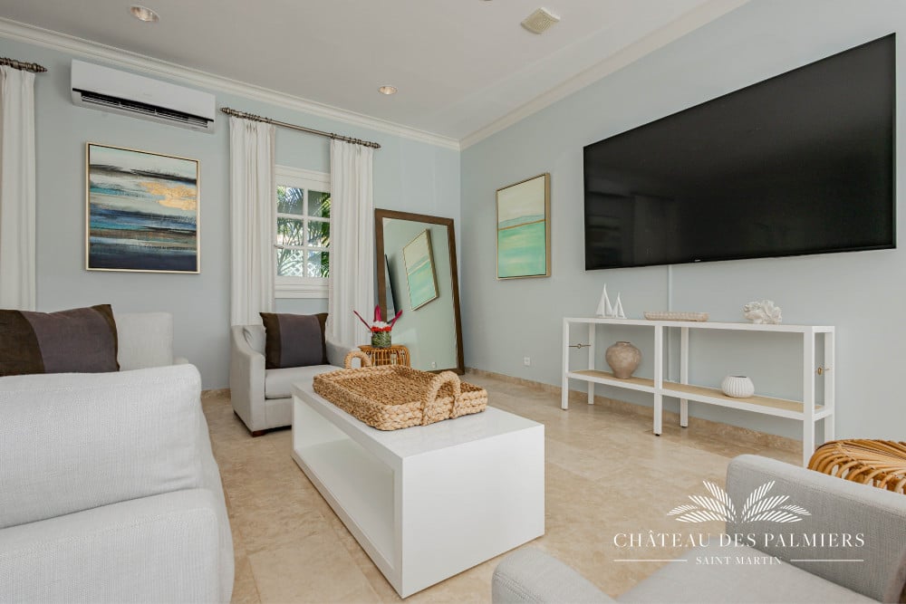 Chateau des Palmiers