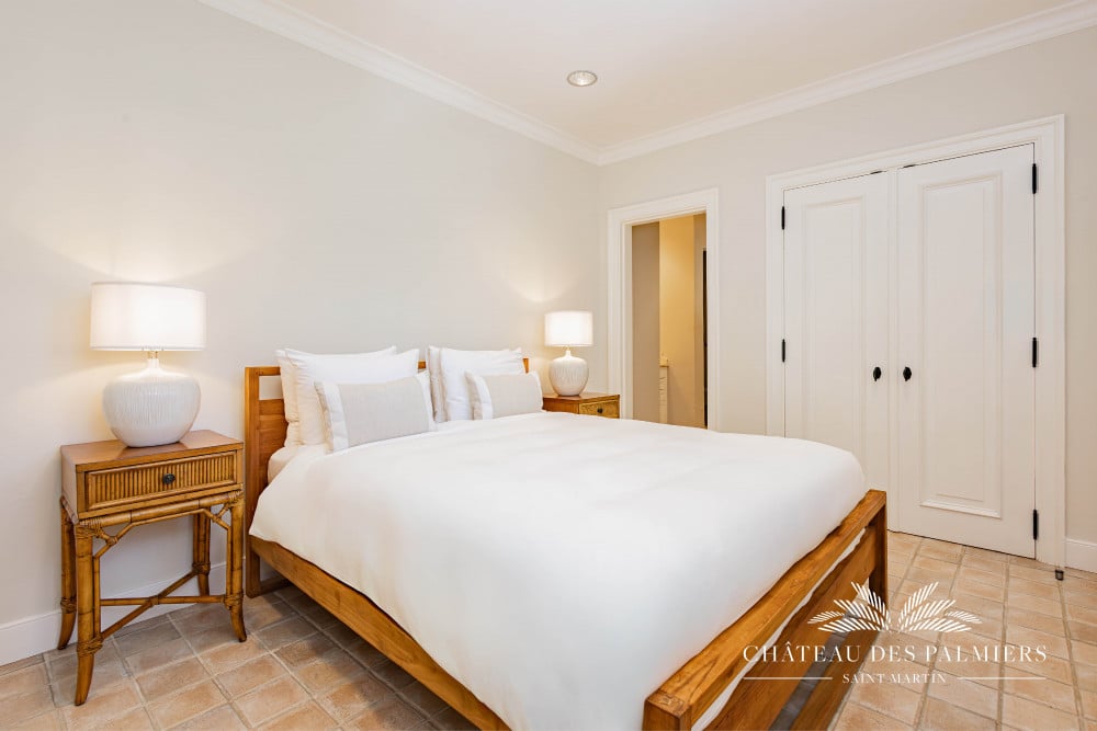 Chateau des Palmiers