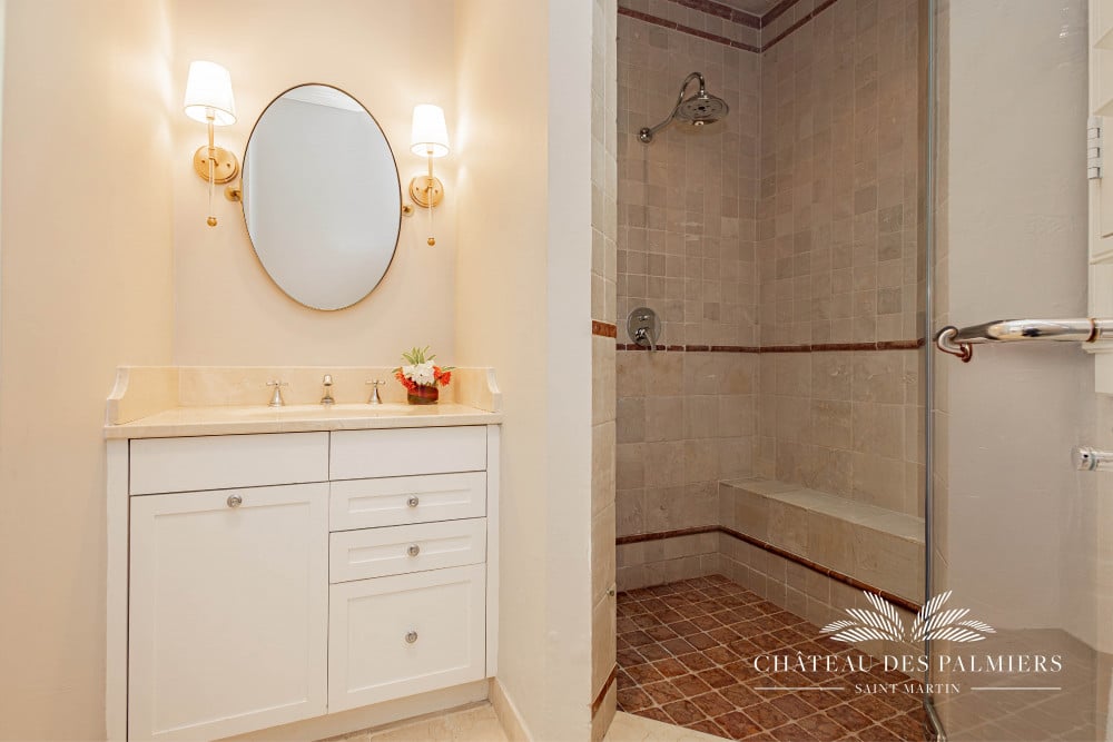 Chateau des Palmiers