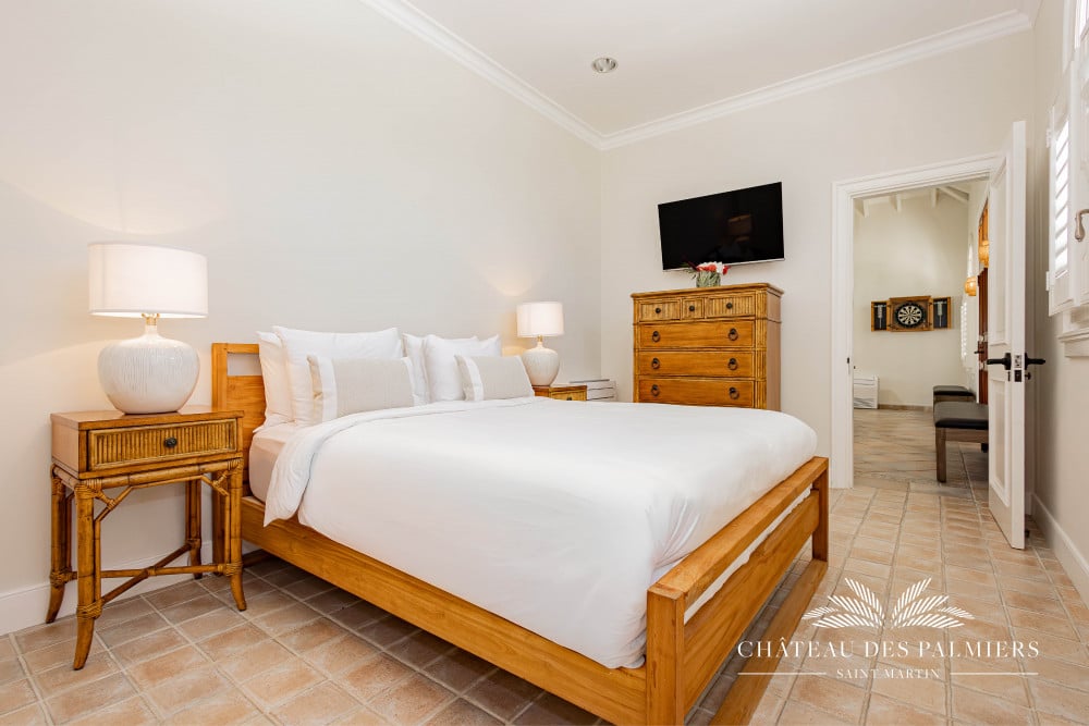 Chateau des Palmiers