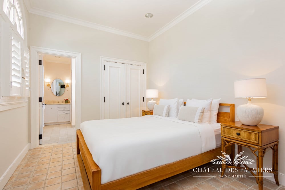 Chateau des Palmiers