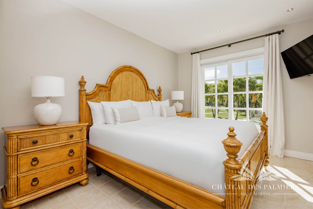 Chateau des Palmiers