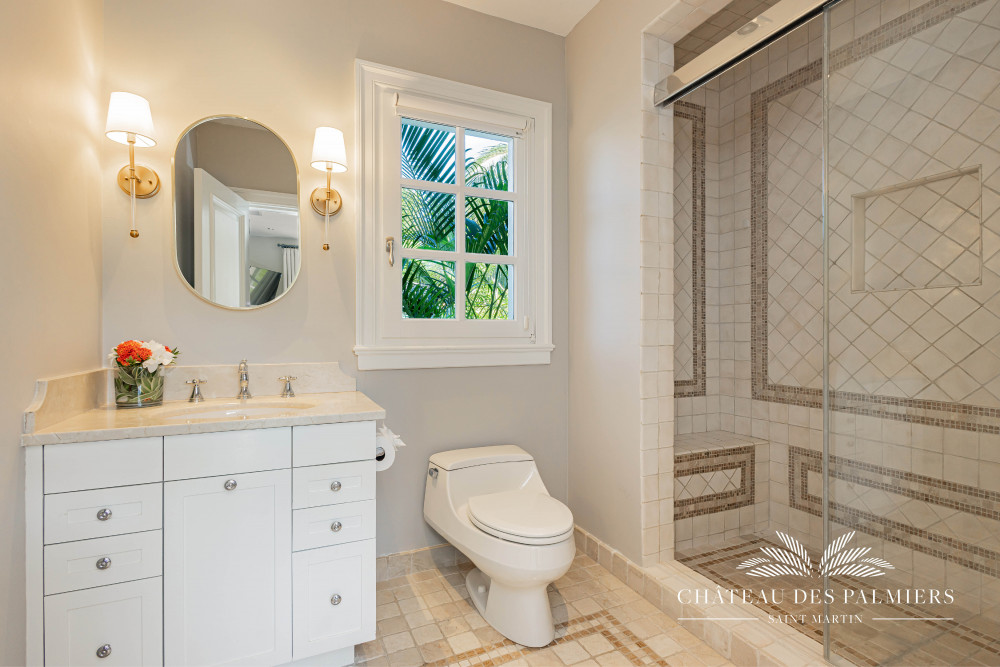 Chateau des Palmiers