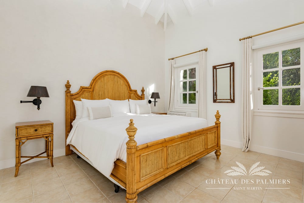 Chateau des Palmiers