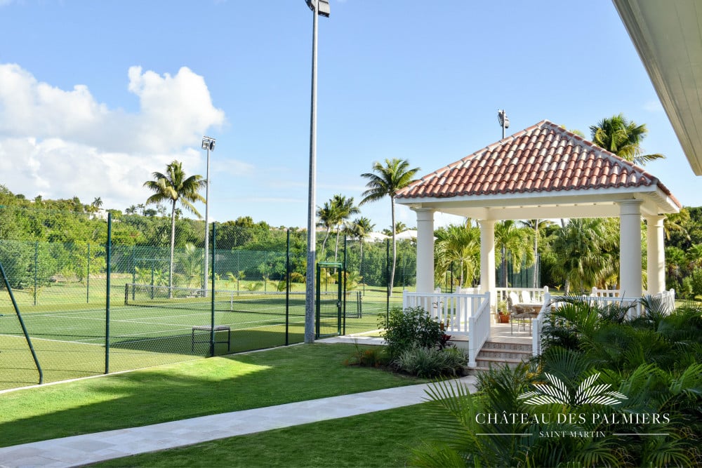 Chateau des Palmiers