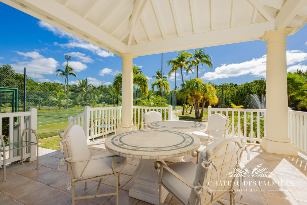 Chateau des Palmiers