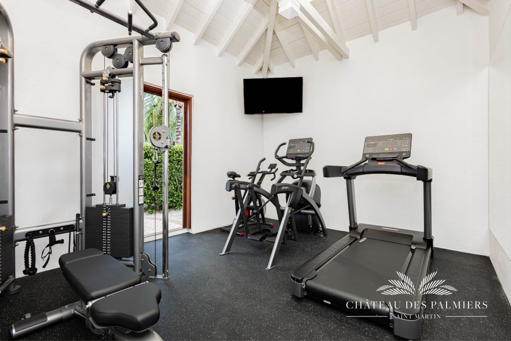 Chateau des Palmiers