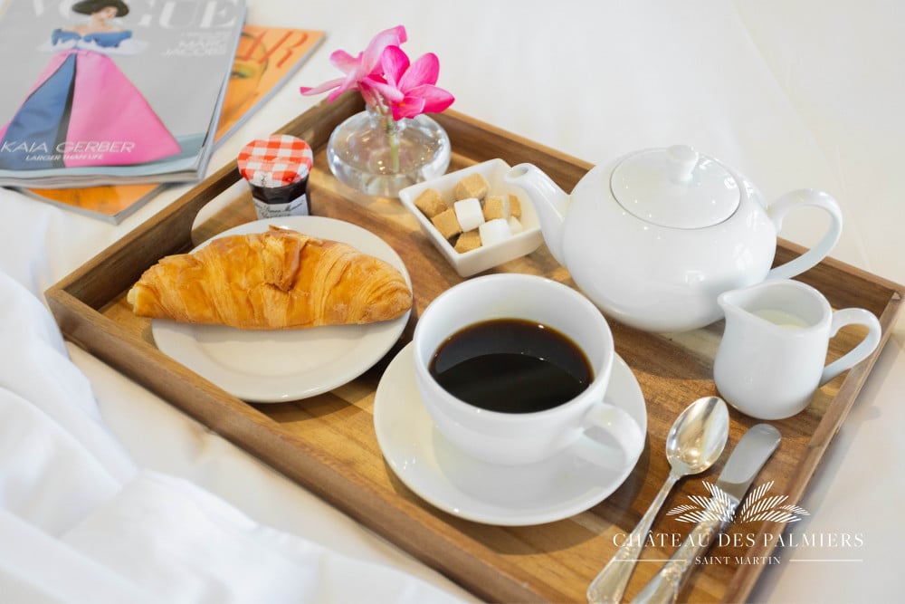 Chateau des Palmiers