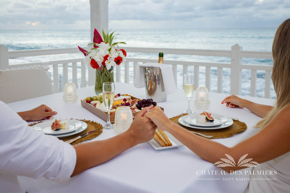 Chateau des Palmiers