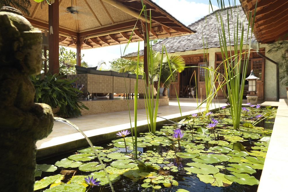 Amanoka on the Beach