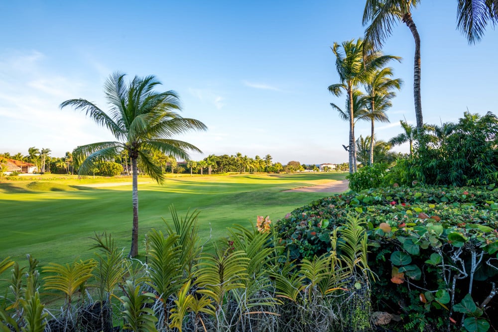 Casa de Campo 85