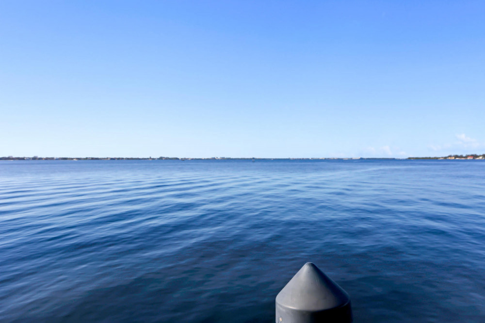 Cape Coral 242