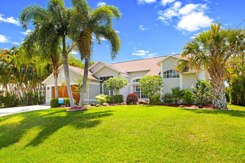Cape Coral 83
