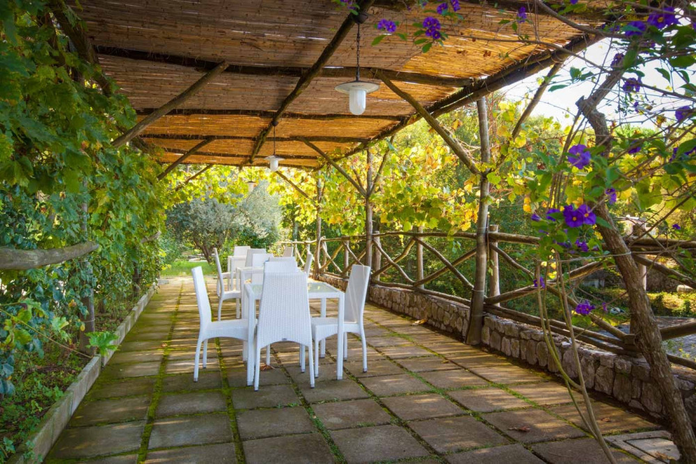 Sorrento 11