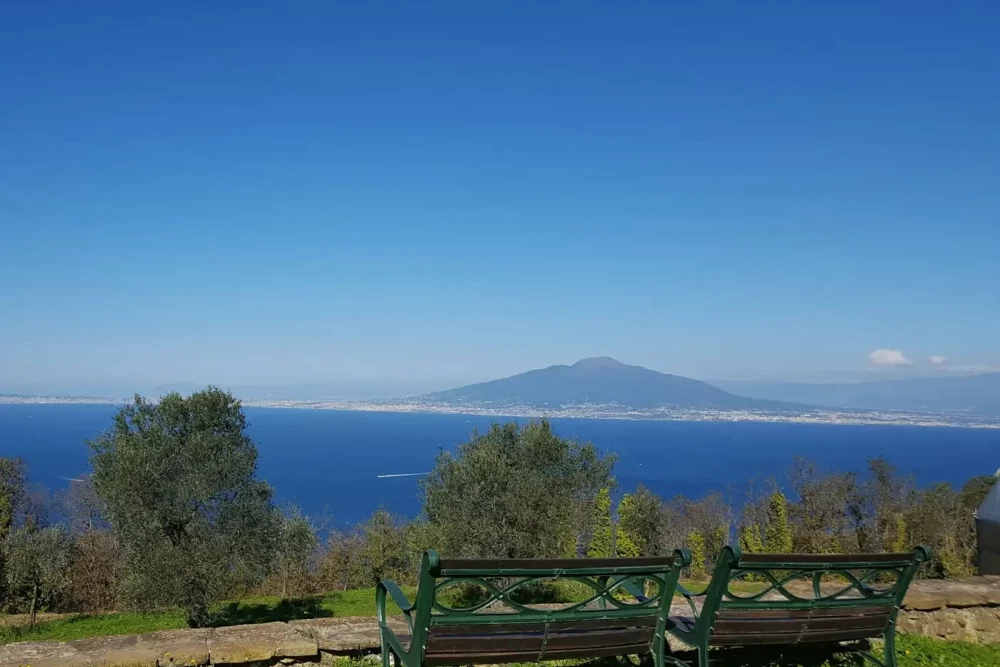 Sorrento 14